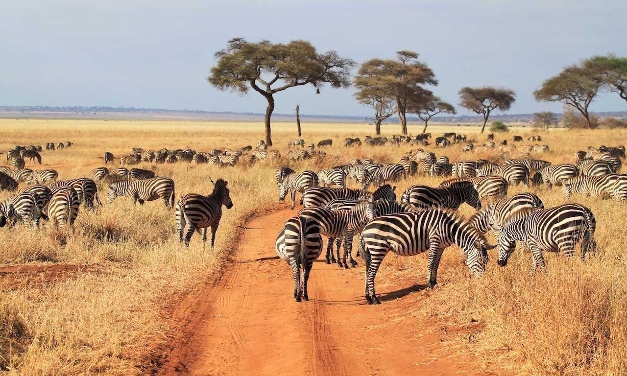 6 day safari in tarangire and Ngorongoro Crater
