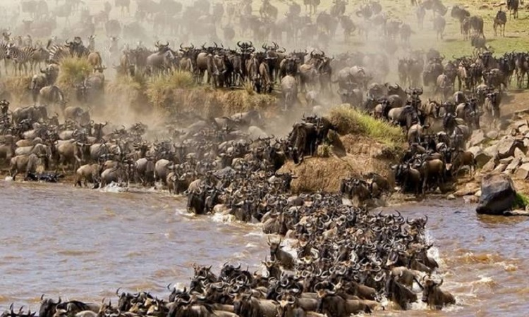 7 day safari in tarangire and Ngorongoro Crater