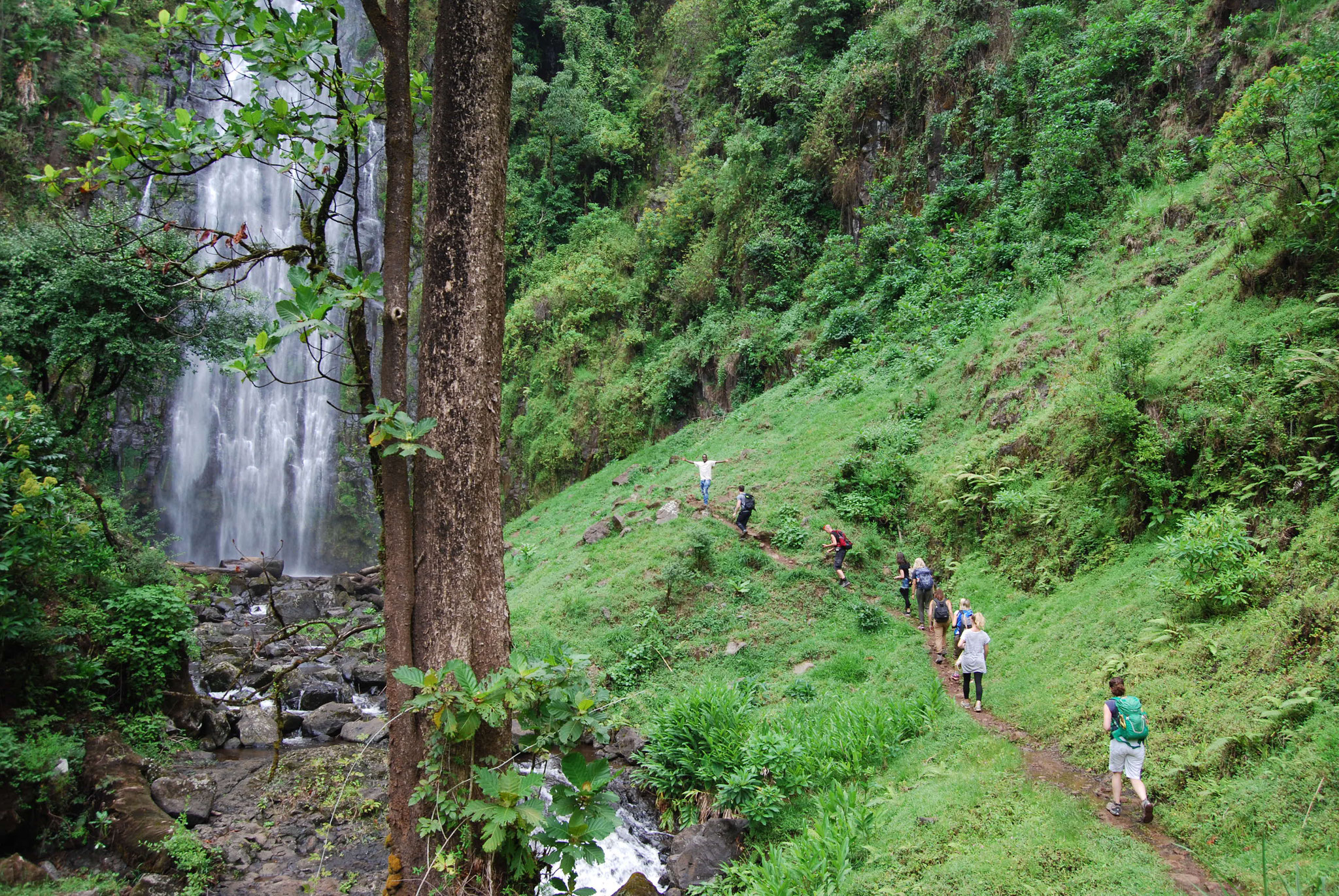 Materuni Waterfalls & Coffee Tour