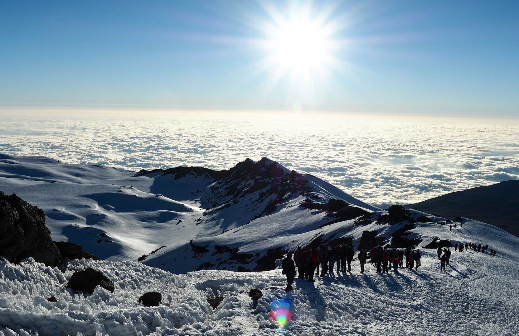 Northern Circuit: Kilimanjaro Climbing