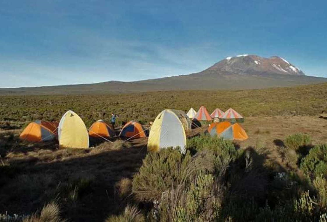Rongai Route: Kilimanjaro Climbing 