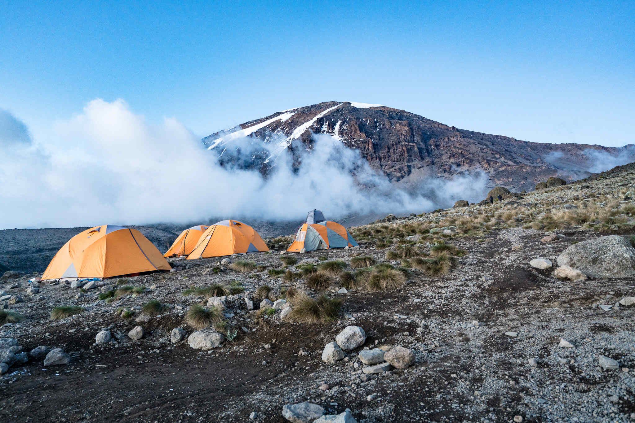 Shira Route: Kilimanjaro Climbing 